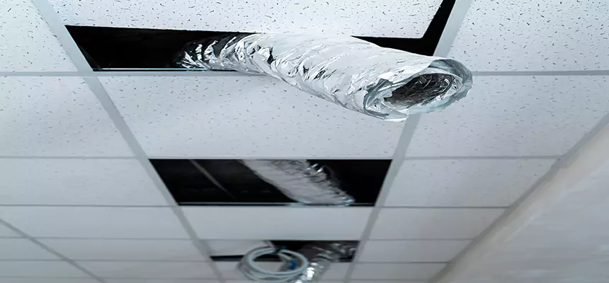 Our Air Duct Pet Hair Removal Services in Fontana, CA