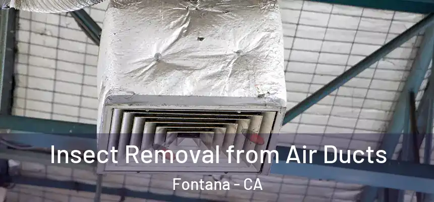 Insect Removal from Air Ducts Fontana - CA