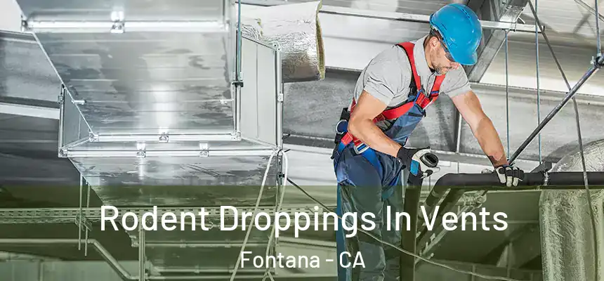 Rodent Droppings In Vents Fontana - CA