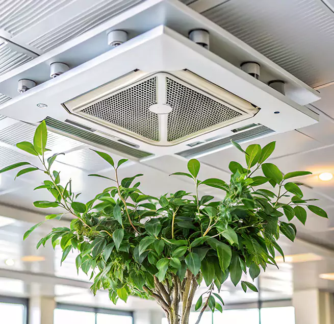 Why Homeowners & Businesses Trust Us in Fontana, CA